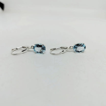 Dangle 925 Silver Earring